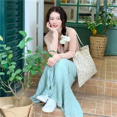 南极洲:拯救科考站
